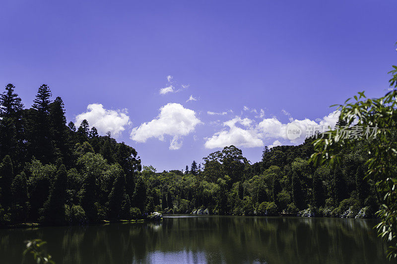 布莱克湖-格拉马多，里约热内卢Grande do Sul，巴西